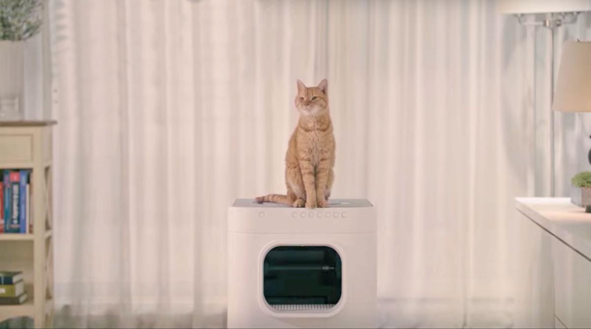 LavvieBot Smart Litter Box