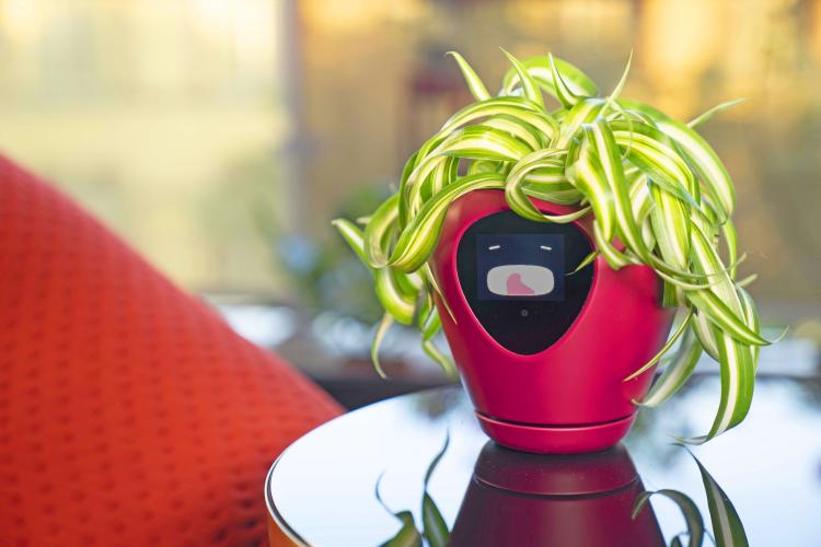 Lua Smart Planter