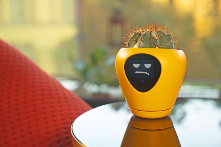 Lua Smart Planter
