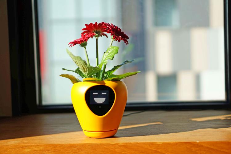 Lua Smart Planter
