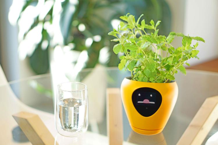Lua Smart Planter