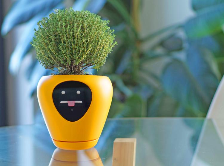 Lua Smart Planter