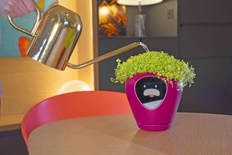 Lua Smart Planter