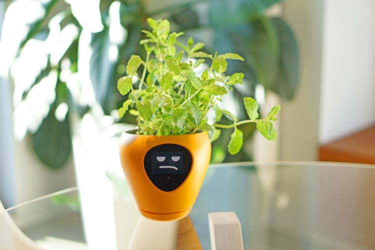 Lua Smart Planter