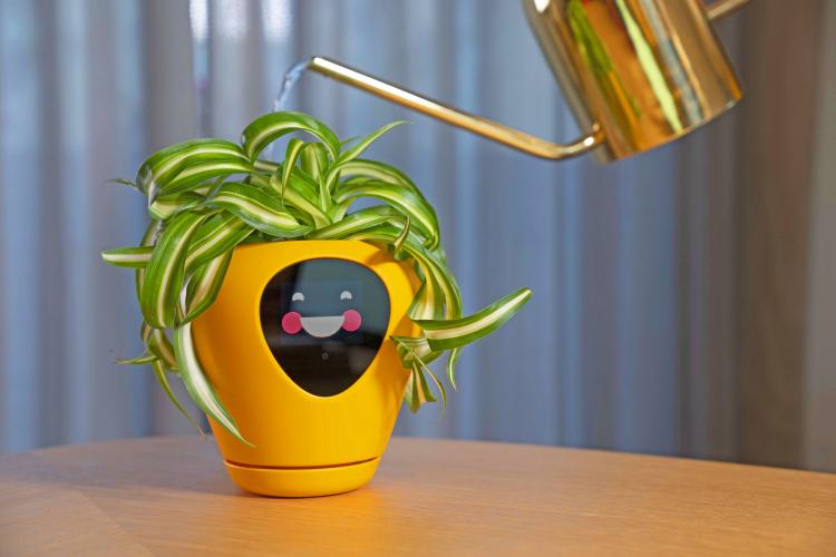 Lua Smart Planter