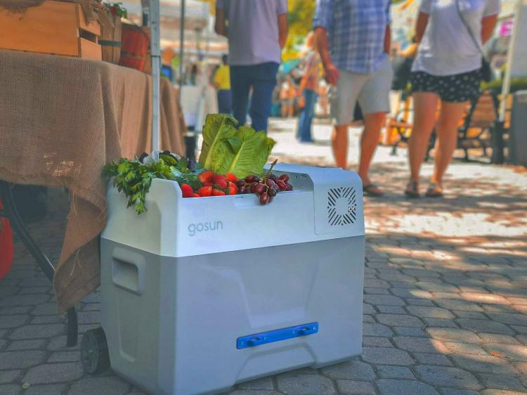 Solar powered cooler - portable refrigerator with solar panels - Gosun chill portable solar cooler
