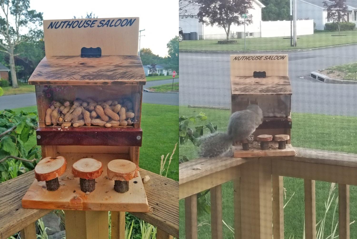 Squirrel Saloon - Wooden Saloon squirrel feeder with bar stools