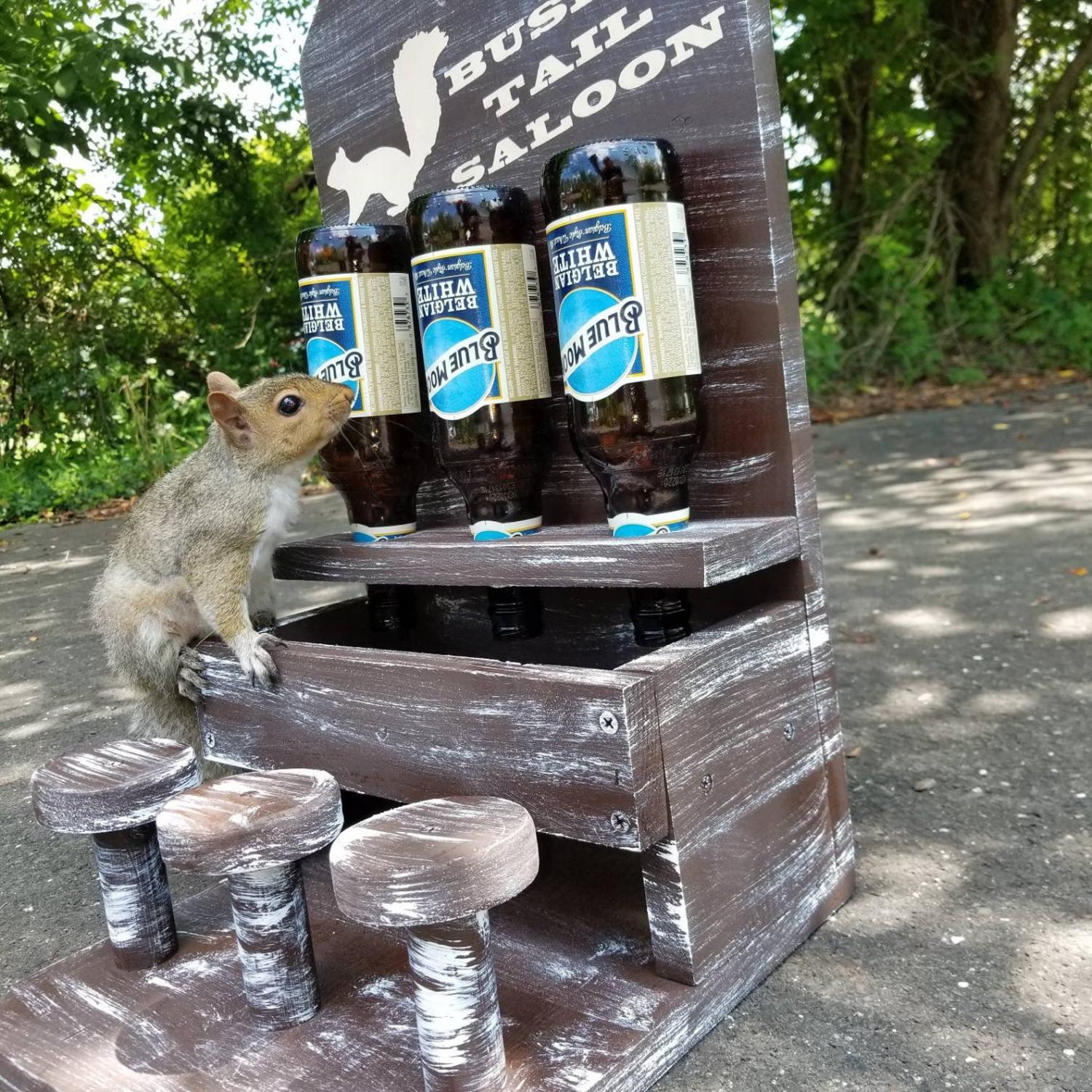 Squirrel Saloon - Wooden Saloon squirrel feeder with bar stools