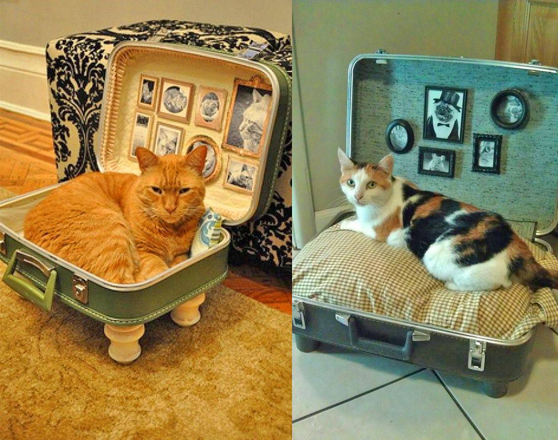 Vintage suitcase cat bed - DIY luggage cat bed