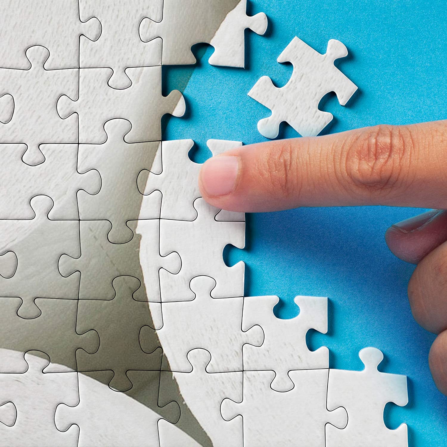 Toilet Paper Jigsaw Puzzle - Funny Quarantine pandemic hoarding puzzle