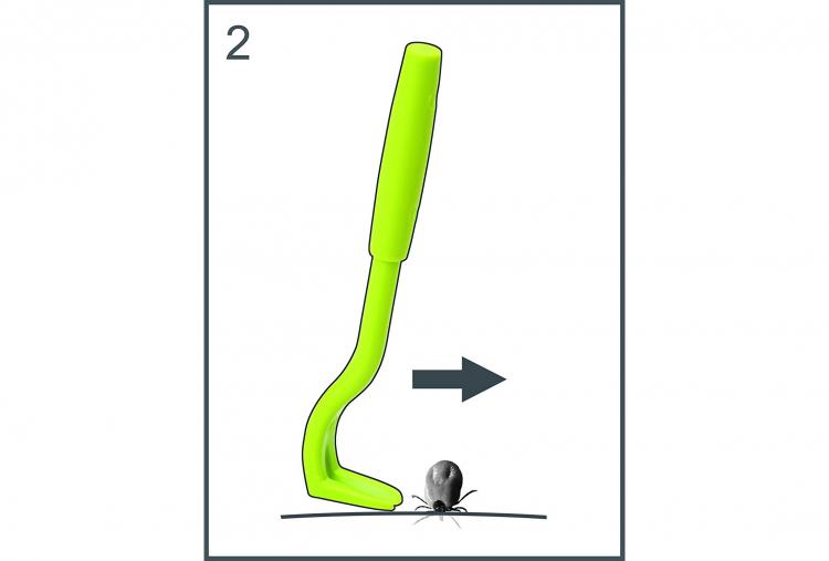 Tick Twister - How to properly remove ticks from humans, dogs, or cats - Twisting tick remover