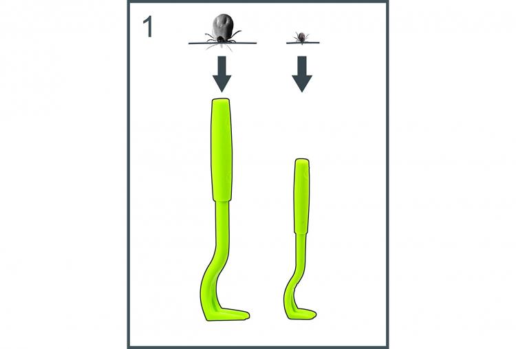 Tick Twister - How to properly remove ticks from humans, dogs, or cats - Twisting tick remover