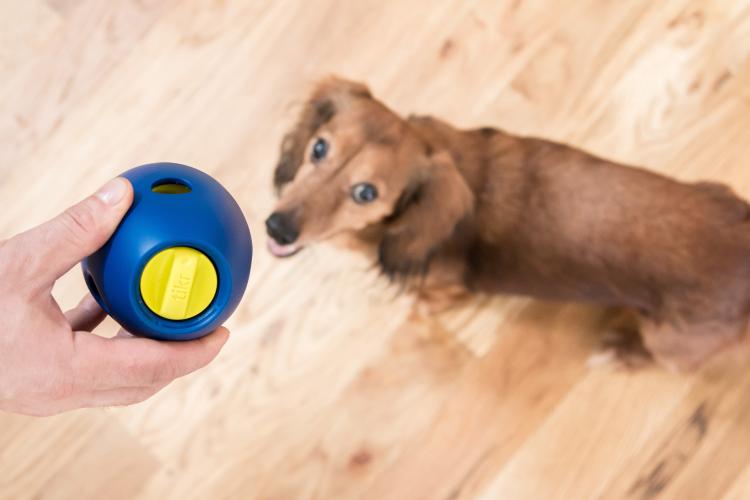 Tikr Time Released Egg Timer Treat Dispenser Dog Toy