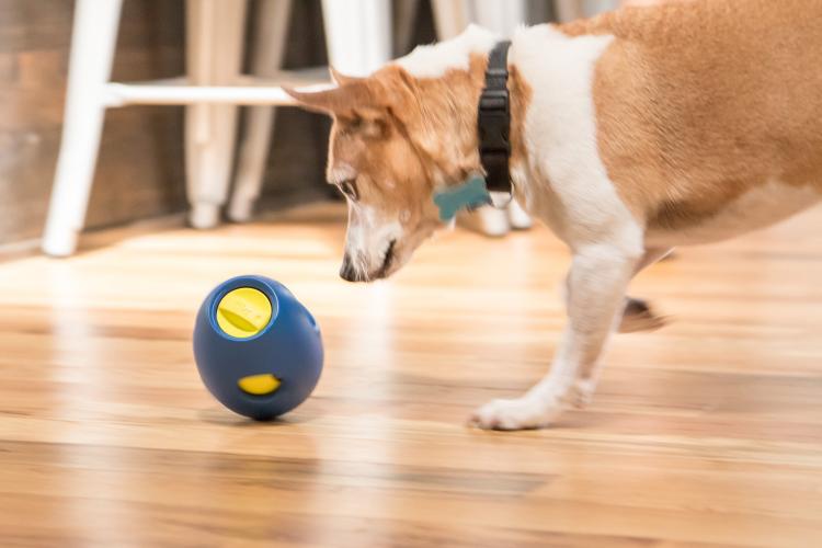 Tikr Time Released Egg Timer Treat Dispenser Dog Toy