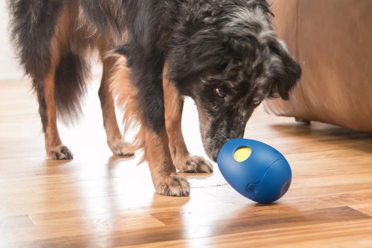 Tikr Time Released Egg Timer Treat Dispenser Dog Toy
