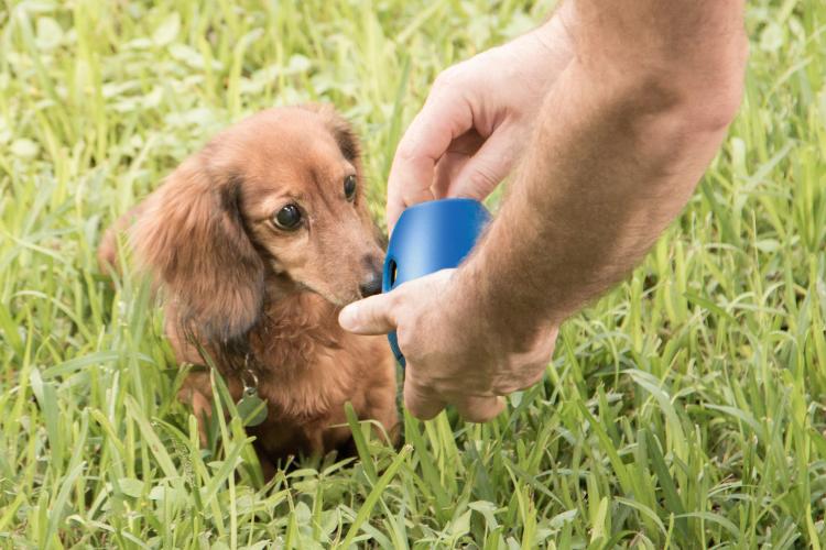 Tikr Time Released Egg Timer Treat Dispenser Dog Toy