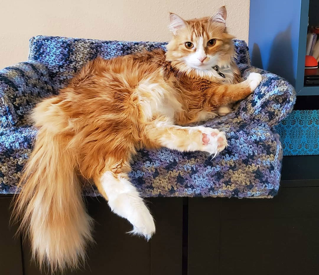 Tiny Crochet Cat Couches - Mini Crochet Cat Sofa For Your Kitty