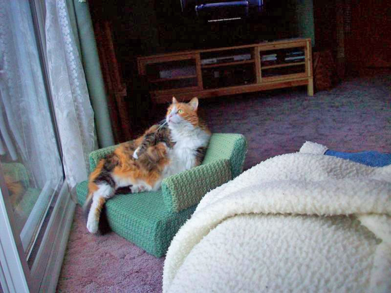 Tiny Crochet Cat Couches - Mini Crochet Cat Sofa For Your Kitty