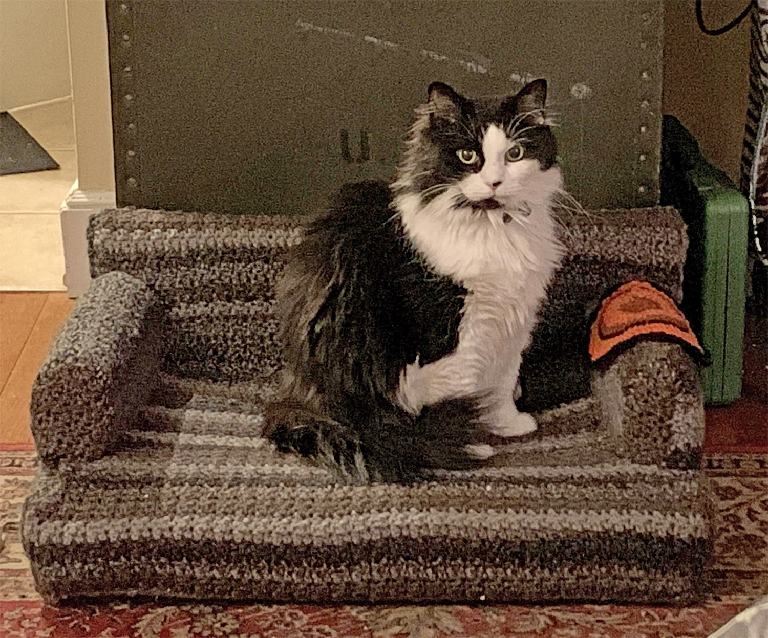 Tiny Crochet Cat Couches - Mini Crochet Cat Sofa For Your Kitty