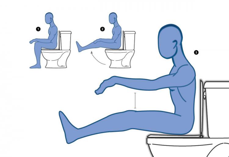 Toilet Yoga Book