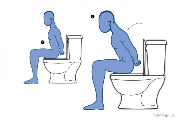 Toilet Yoga Book