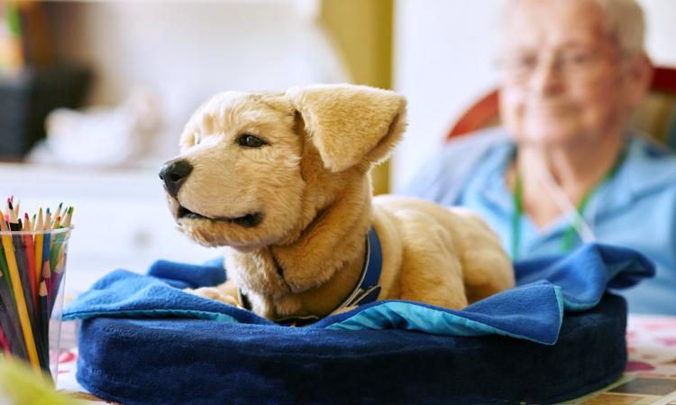 Tombot super-realistic dog robot - Elderly dementia emotional support animal robot