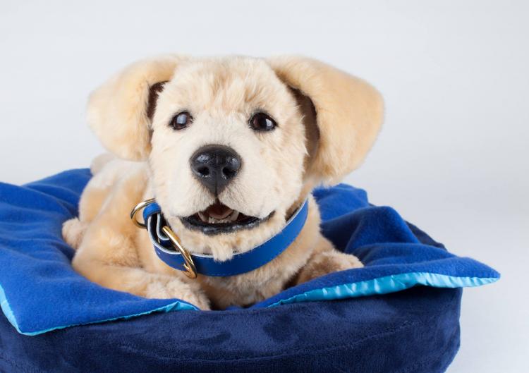 Tombot super-realistic dog robot - Elderly dementia emotional support animal robot