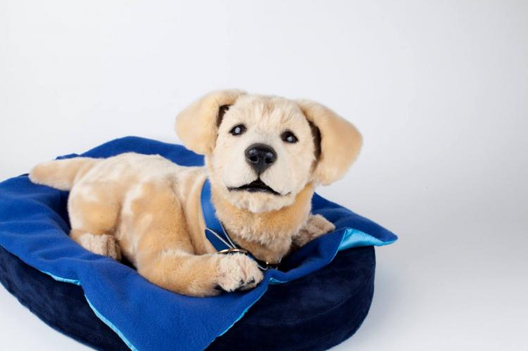 Tombot super-realistic dog robot - Elderly dementia emotional support animal robot