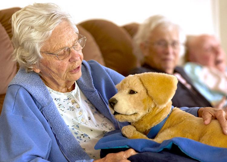 Tombot super-realistic dog robot - Elderly dementia emotional support animal robot