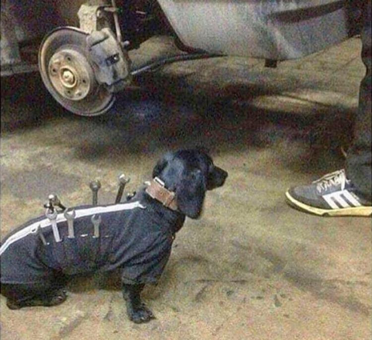 Tool-dog helps holds tools for mechanic - Russian mechanics dog tool box - Wiener dog holds wrenches