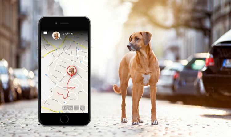Tractive GPS Dog Tracker