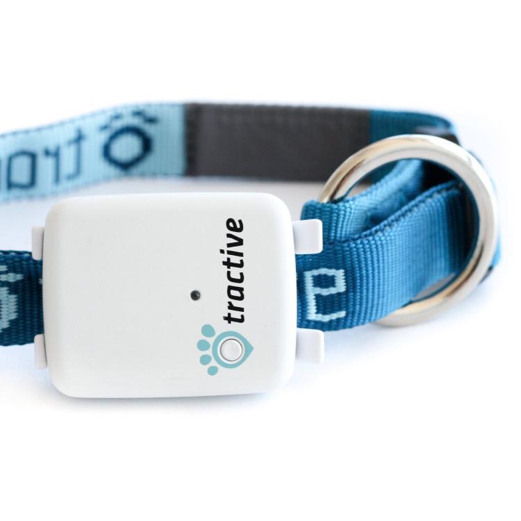 Tractive GPS Dog Tracker