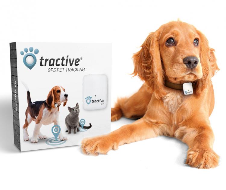 Tractive GPS Dog Tracker