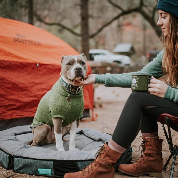Spruce Pup Travel Dog Bed Folds In Half - Best camping dog bed