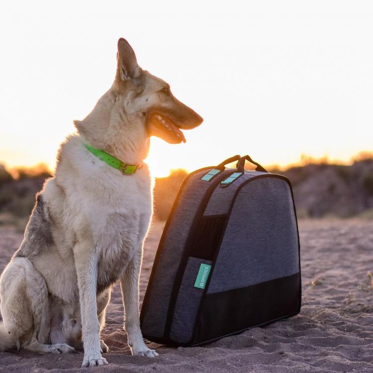 Spruce Pup Travel Dog Bed Folds In Half - Best camping dog bed