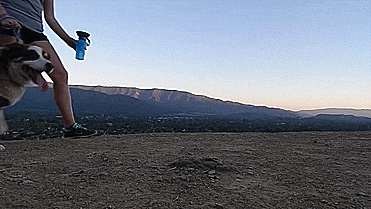 Travel Water Bottle For Dogs - Squeeze To Fill Bowl With Water - GIF