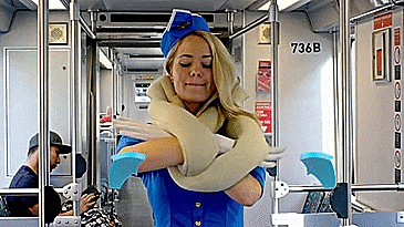 Travel Pretzel Pillow
