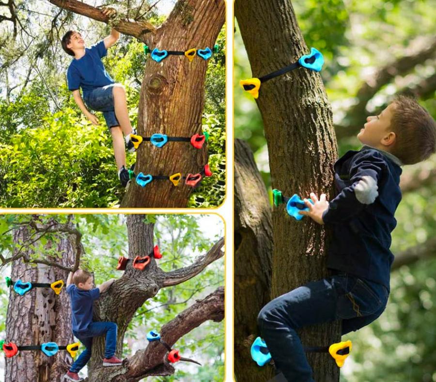 Tree Climbing Holds For Kids