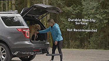 Twistep Truck Hitch Dog Step - Folding car hitch dog stepper