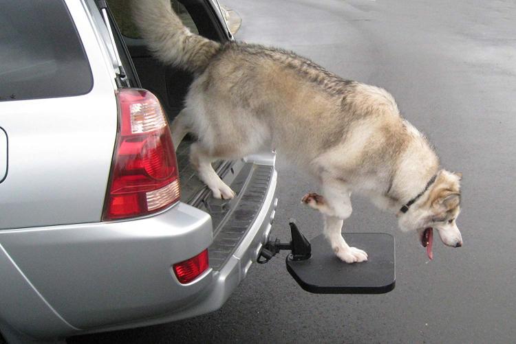 Twistep Truck Hitch Dog Step - Folding car hitch dog stepper