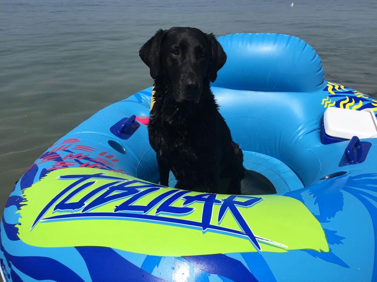 Tubular Tube - Inner-tube with bluetooth speaker and cooler