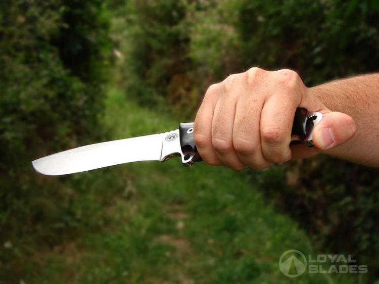 Tusk Survival Knife