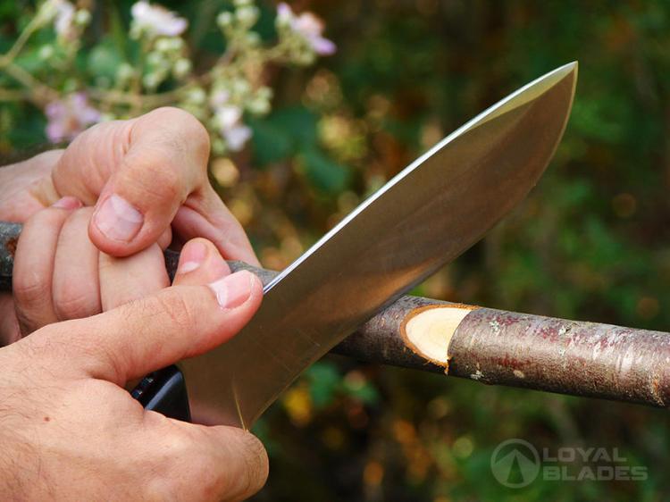 Tusk Survival Knife