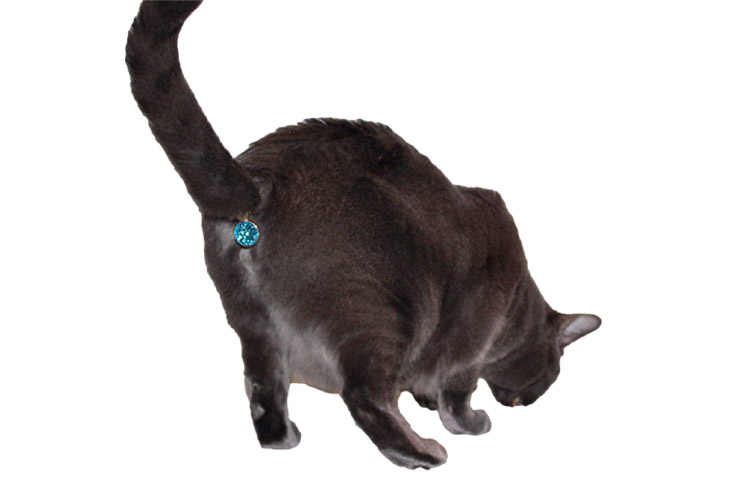 Twinkle Tush Cat Jewel Covers Butt
