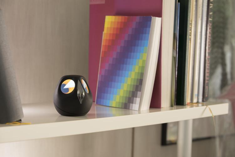 Ulo: Owl Shaped Security Camera