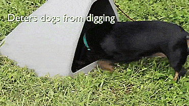 Underground Dog House - Miller Pet Products DOGEDEN 60A in ground outdoor dog house