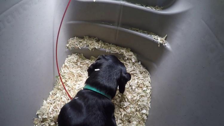 Underground Dog House - Miller Pet Products DOGEDEN 60A in ground outdoor dog house