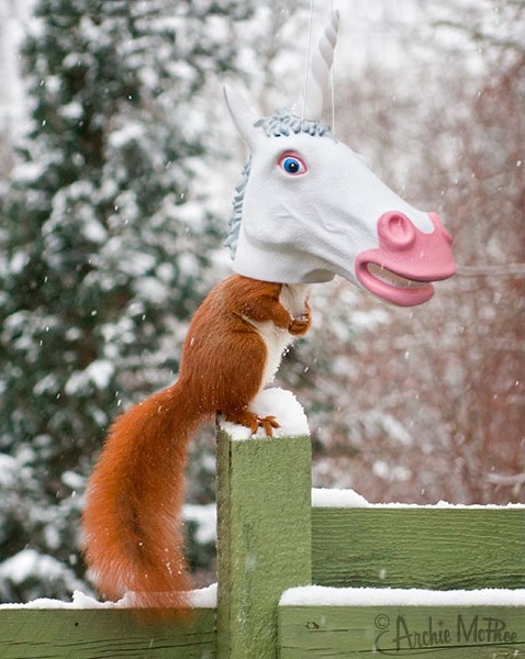 Unicorn Head Squirrel Feeder