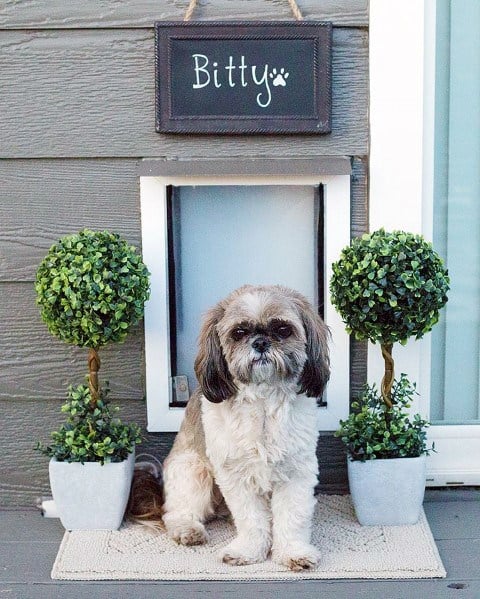 Unique Doggie Door Designs - Cute Doggie Door Design Inspiration