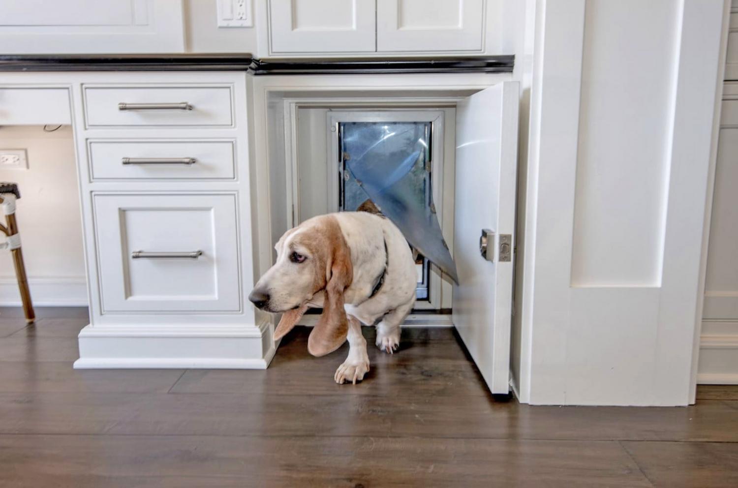 Unique Doggie Door Designs - Cute Doggie Door Design Inspiration